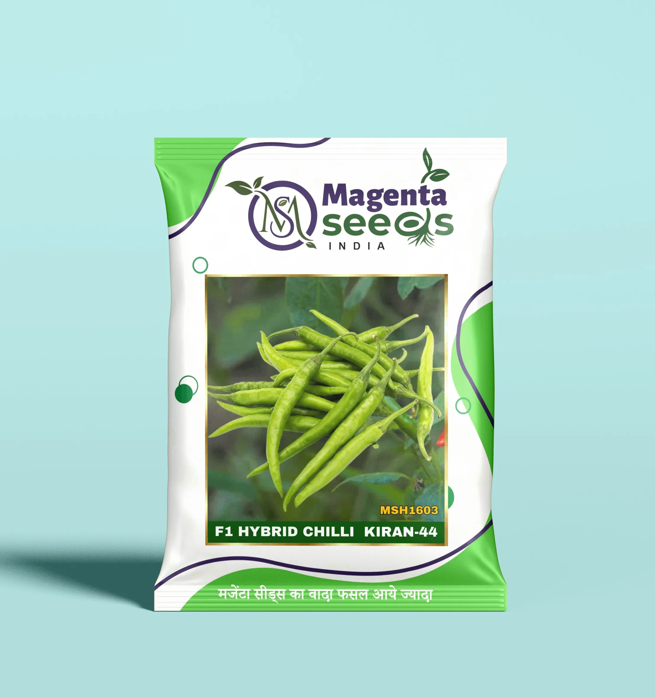 KIRAN-44-Hybrid Chilli Gourd Seeds