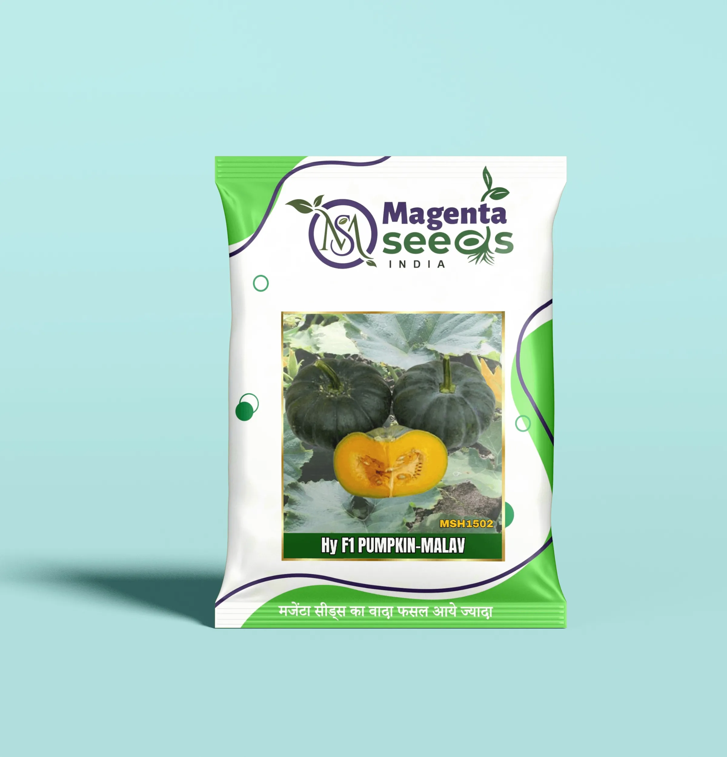 MALAV-Hybrid Pumpkin Gourd Seeds