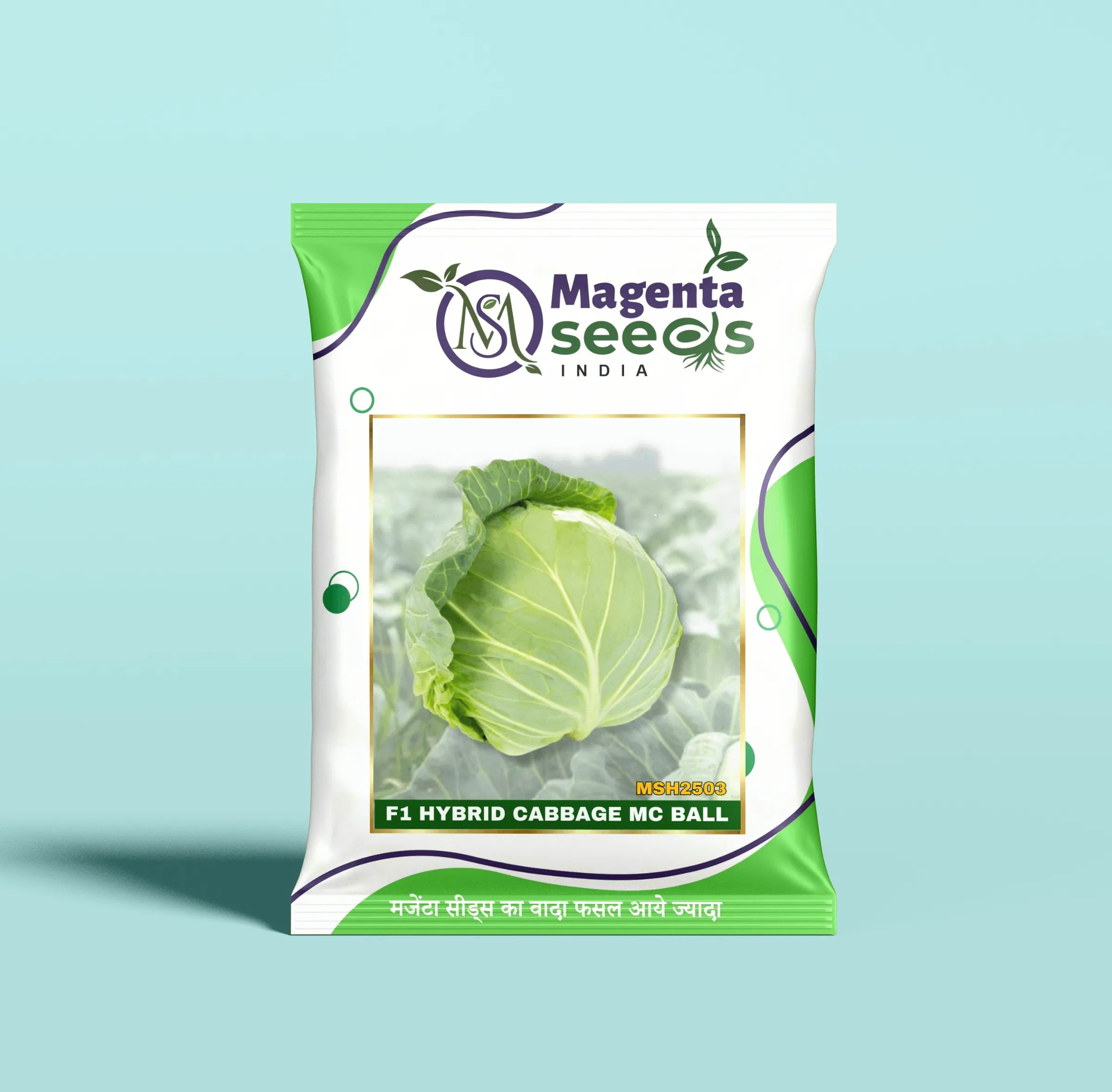 MC BALL-Hybrid Cabbage Seeds