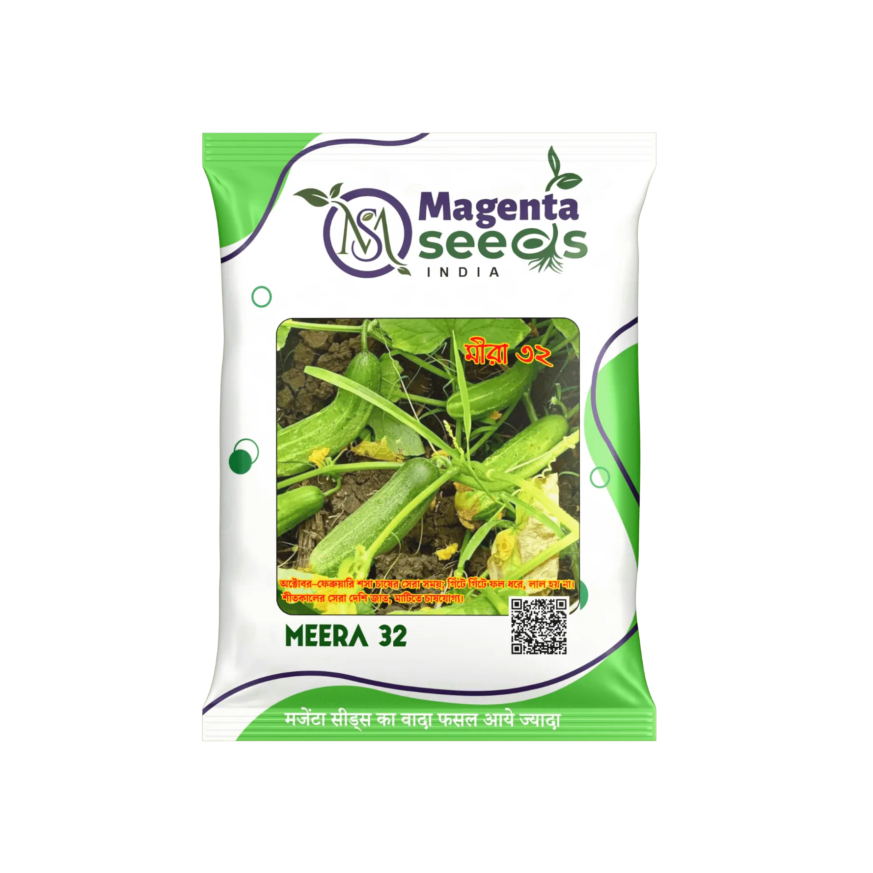 MEERA-32 Desi Cucumber Seeds / देसी 12 पाटा (पत्ती) ककड़ी बीज , Winter Special