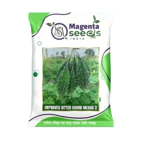 Megha 2: Bitter Gourd Seeds/देशी करेले के बीज