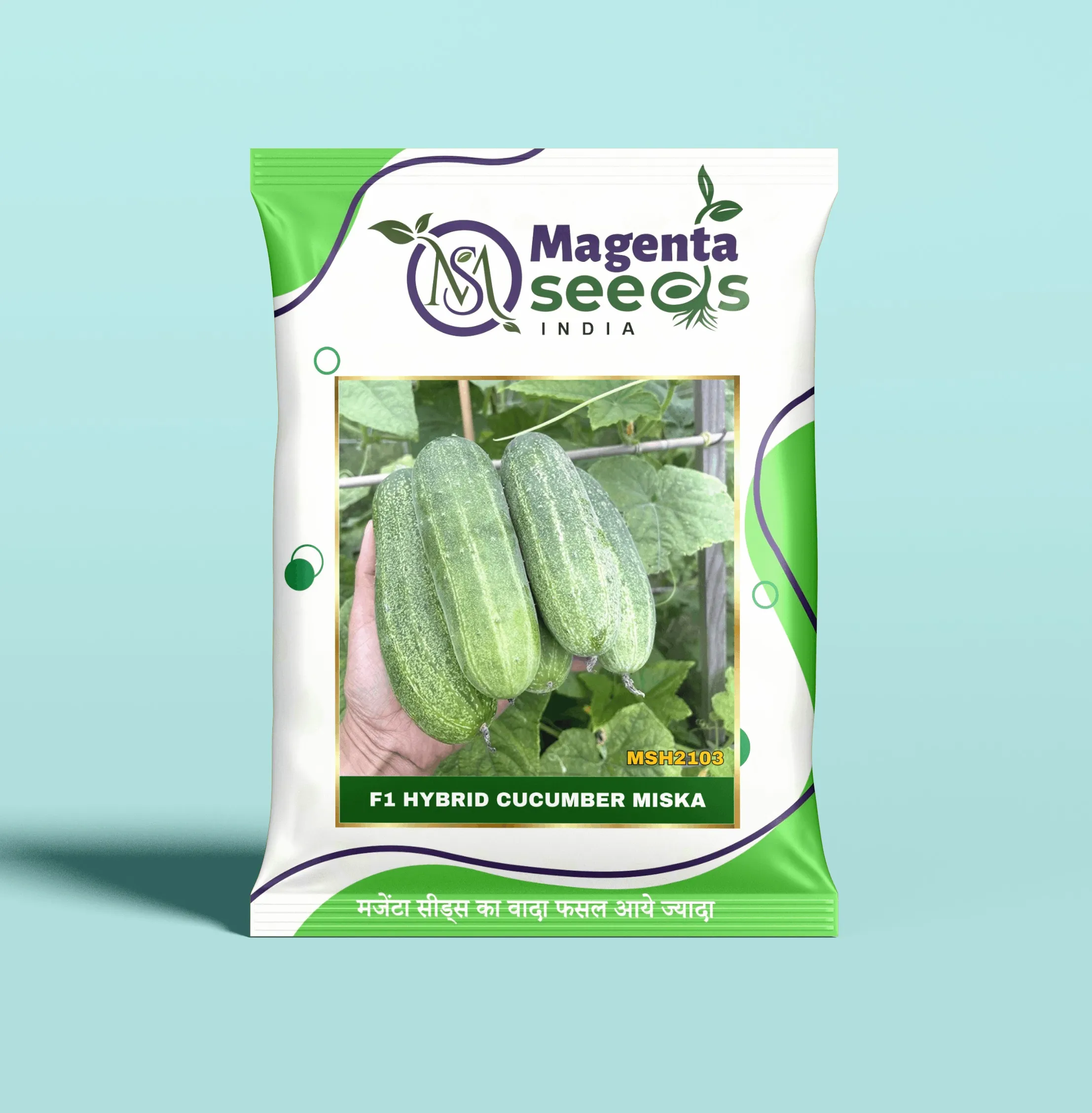 MISKA-Hybrid Cucumber Seeds
