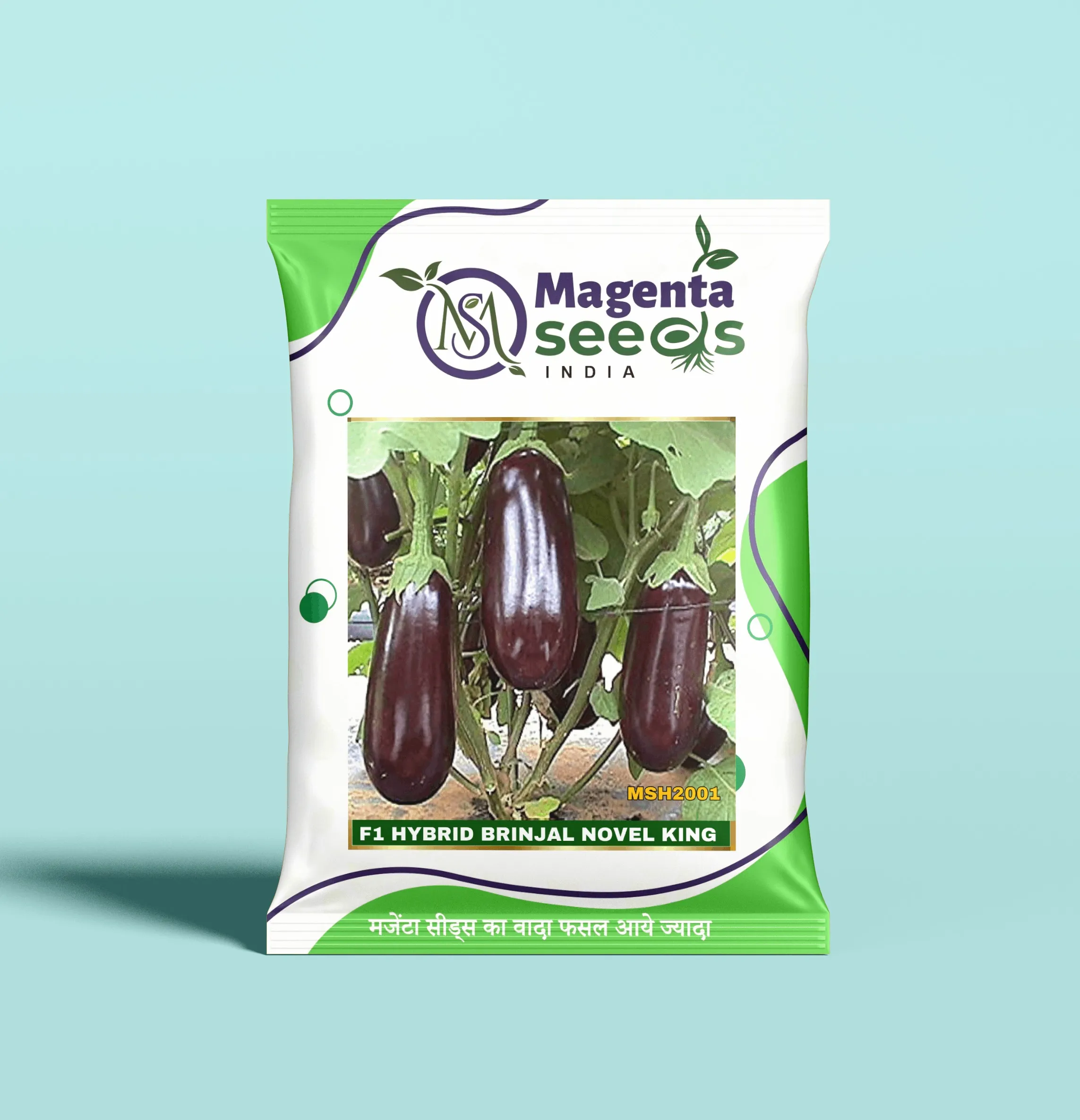 NOVEL KING-Hybrid Brinjal Seeds