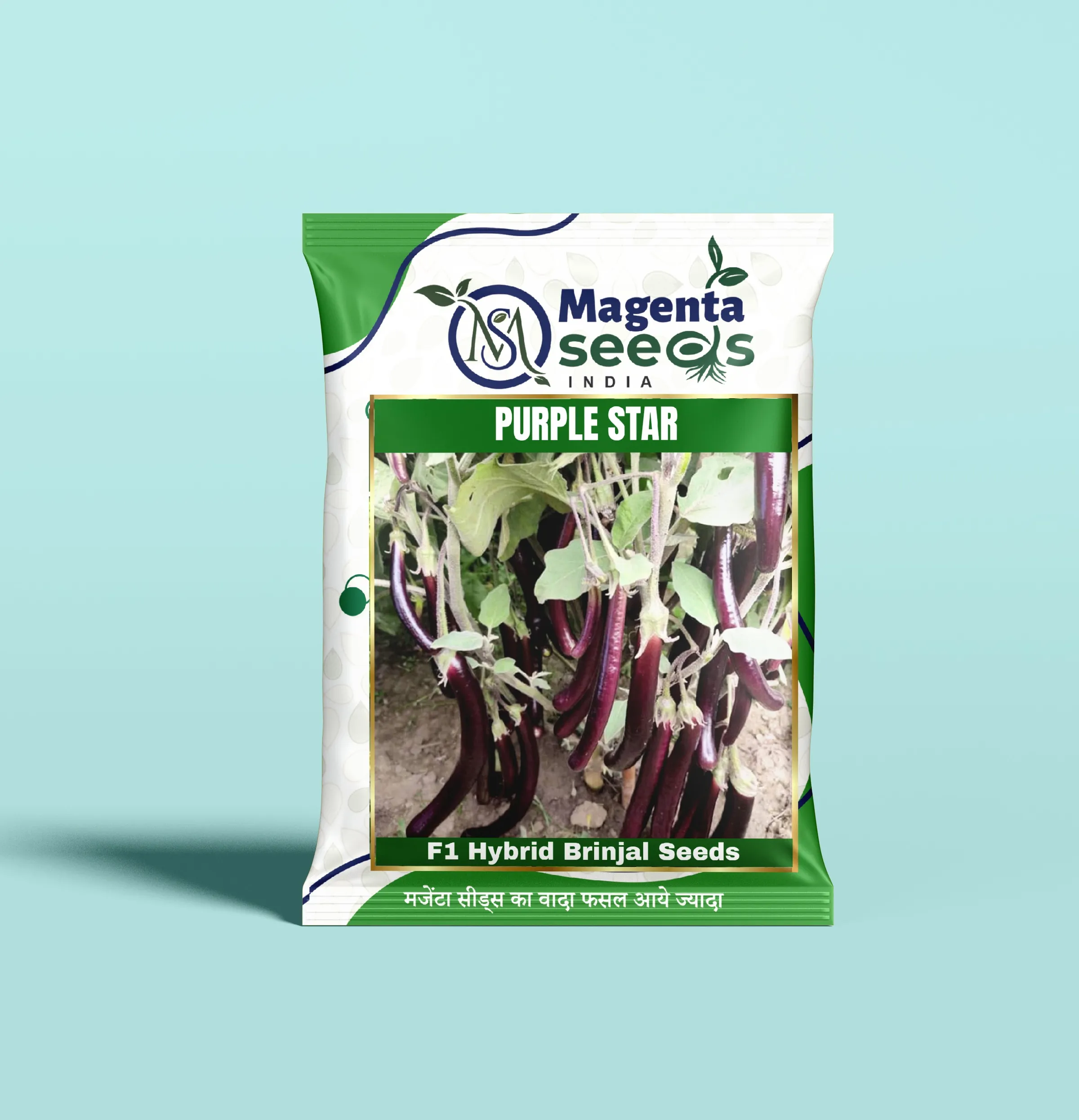 PURPLE STAR-Hybrid Brinjal Seeds