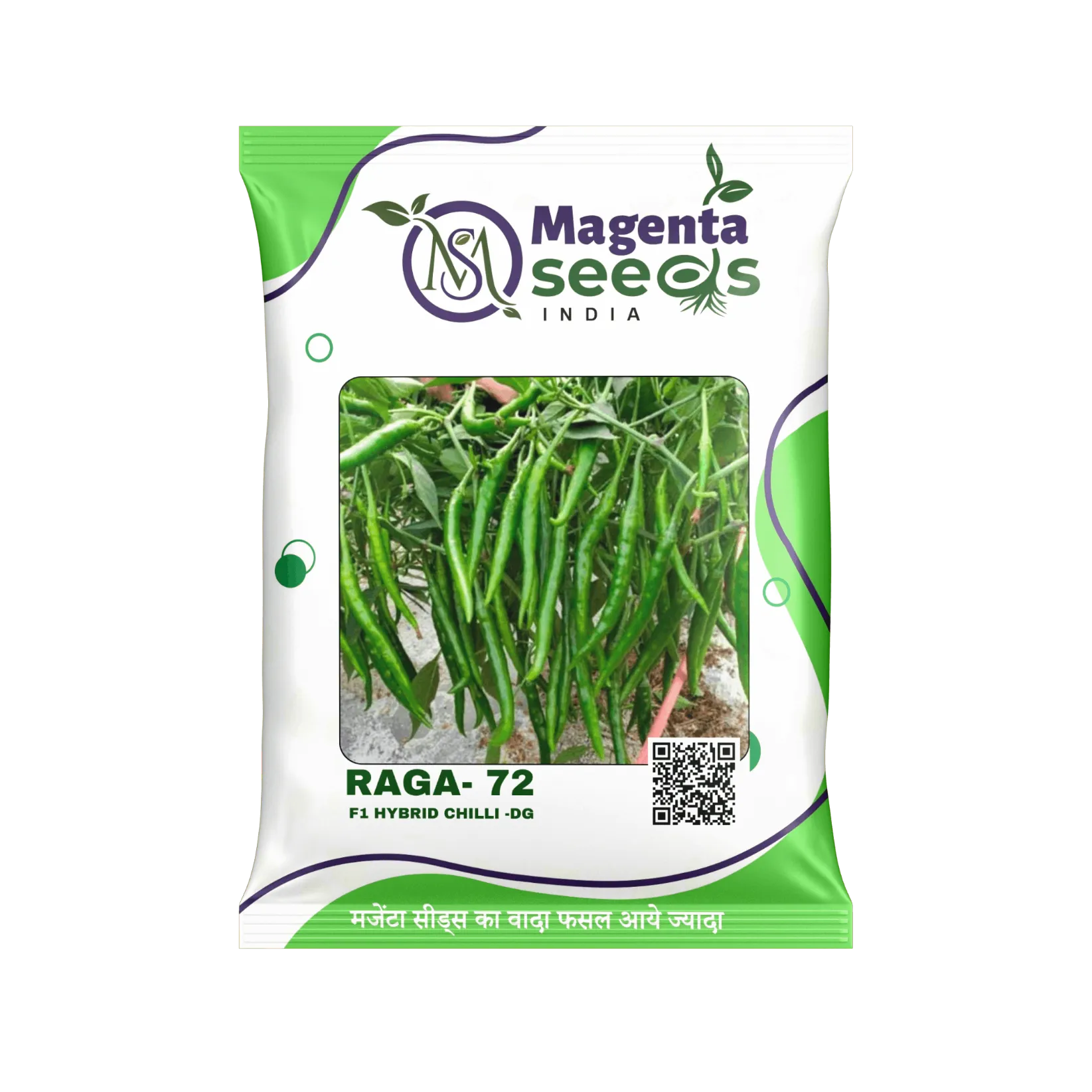 Raga 72 Hybrid  Chilli Seeds