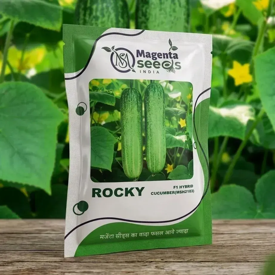 ROCKY HYBRID CUCUMBER SEEDS