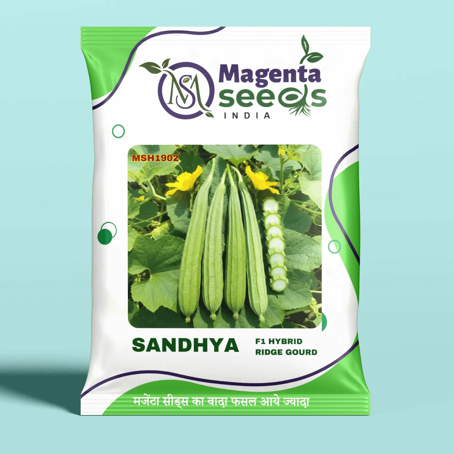 SANDHYA-Hybrid Ridge Gourd Seeds