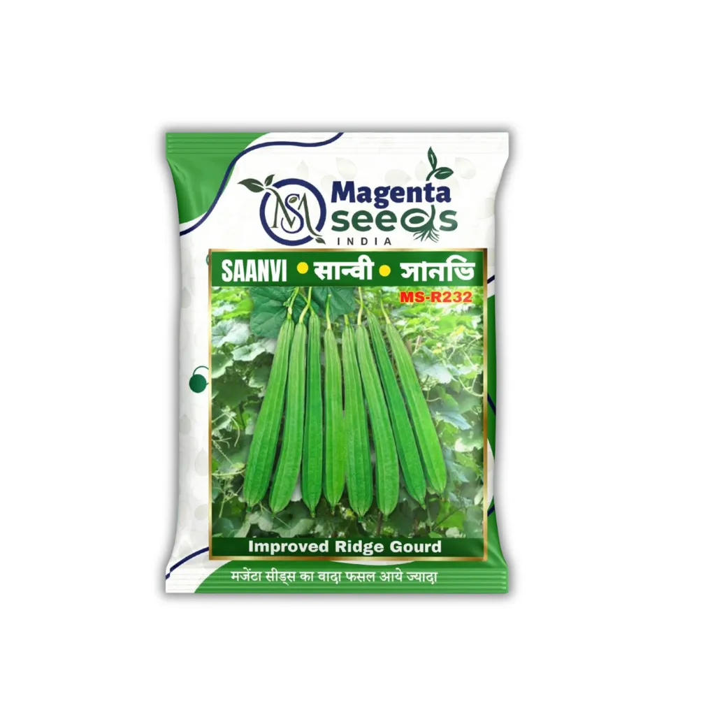 SANVI _ HIGH QUALITY OPEN POLLINATED RIDGE GOURD SEEDS
