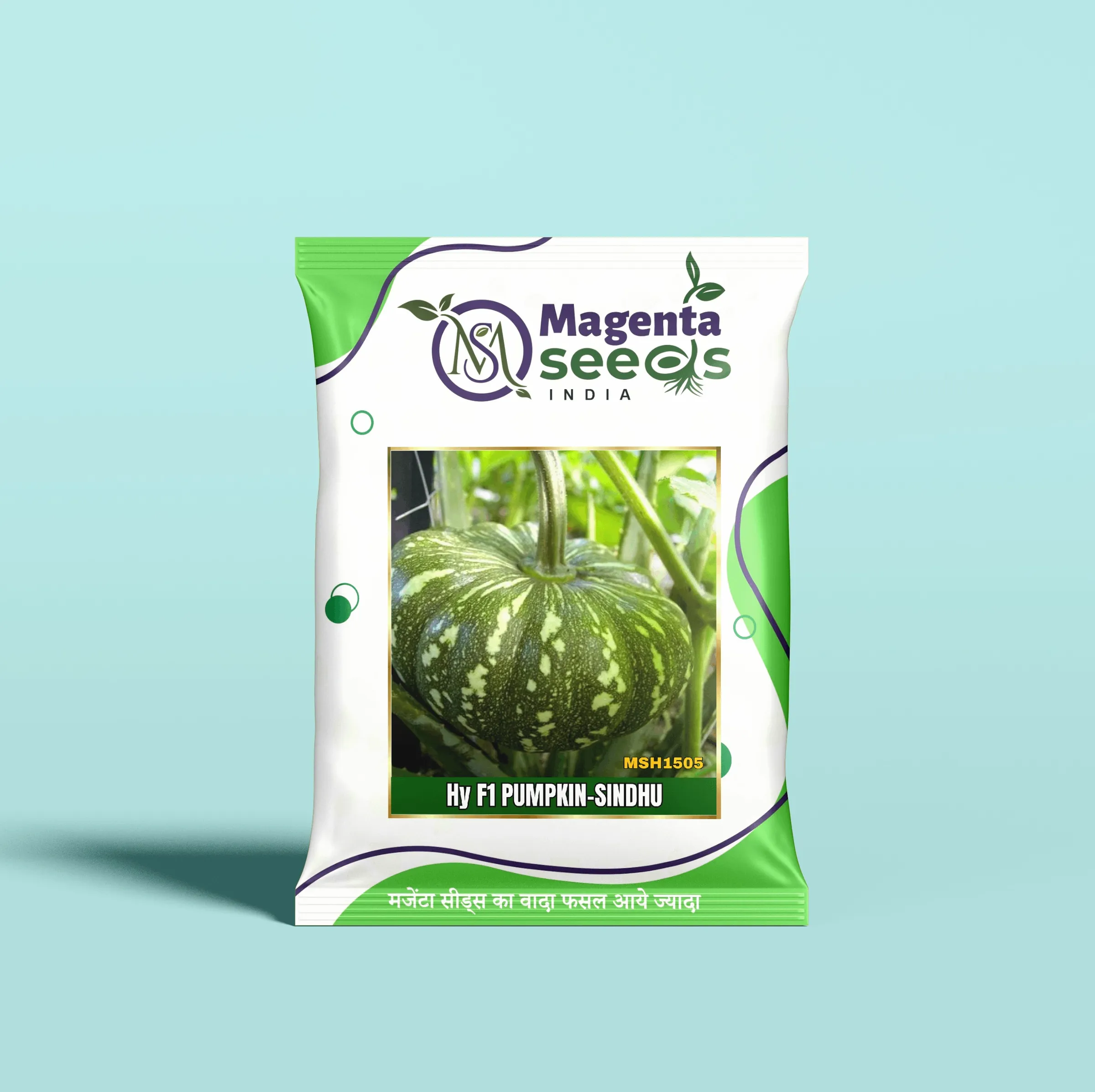 SINDHU-Hybrid Pumpkin Gourd Seeds