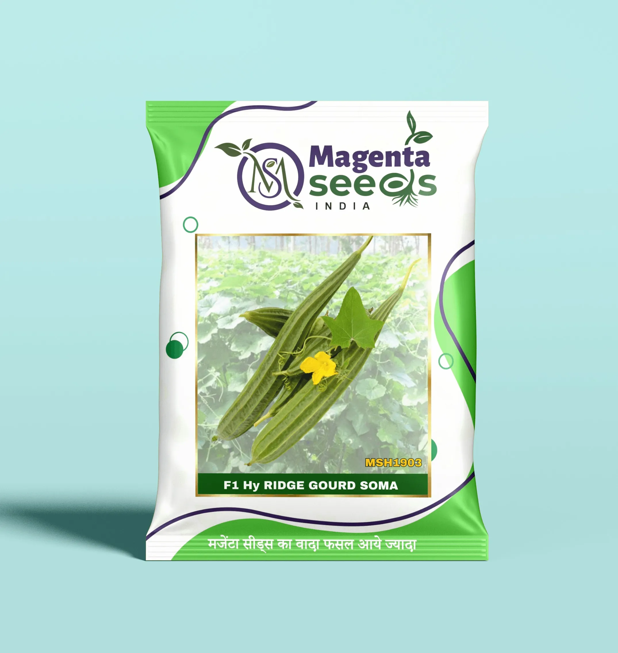 SOMA-Hybrid Ridge Gourd Seeds