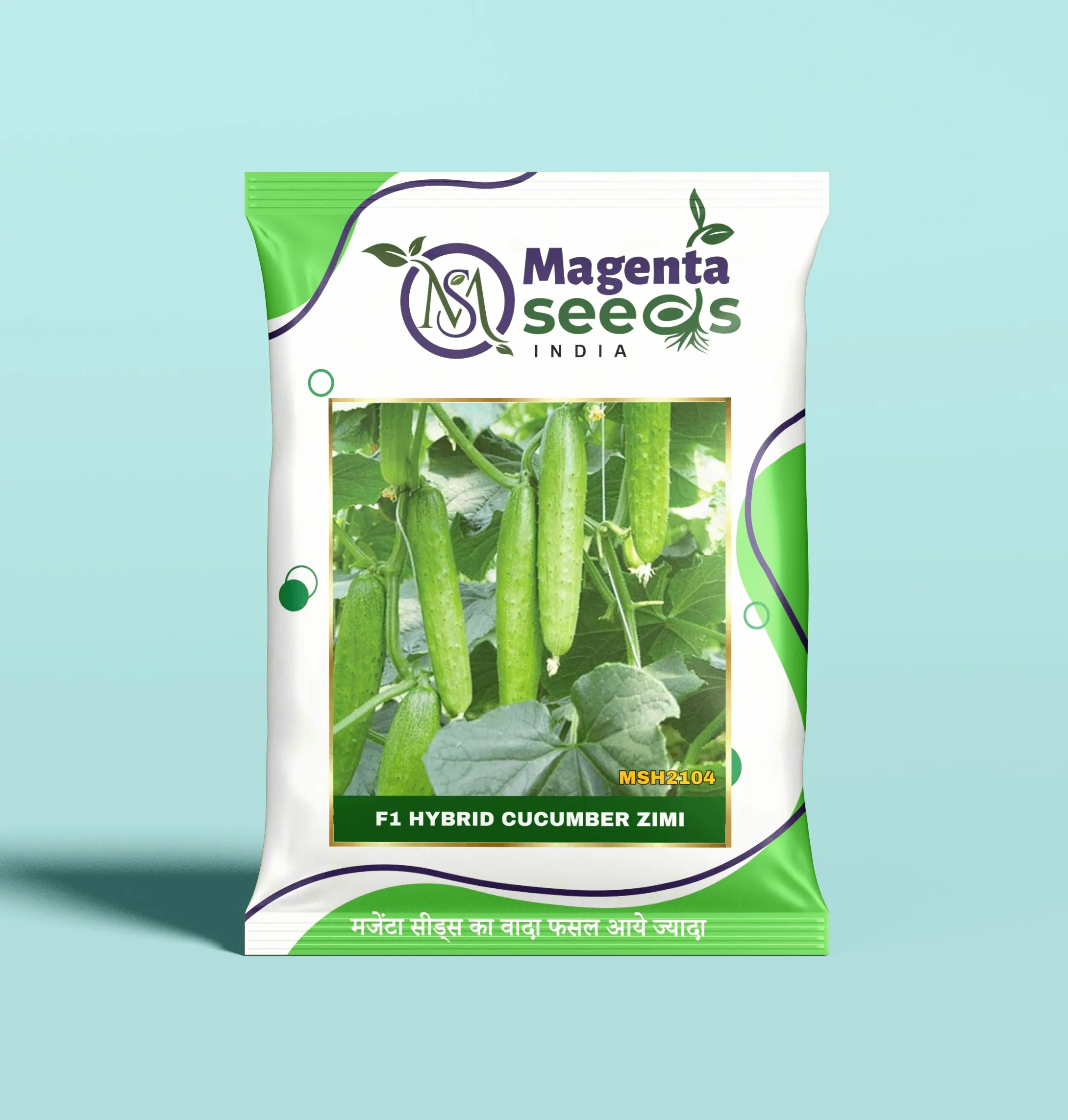 ZIMI-Hybrid Cucumber Seeds