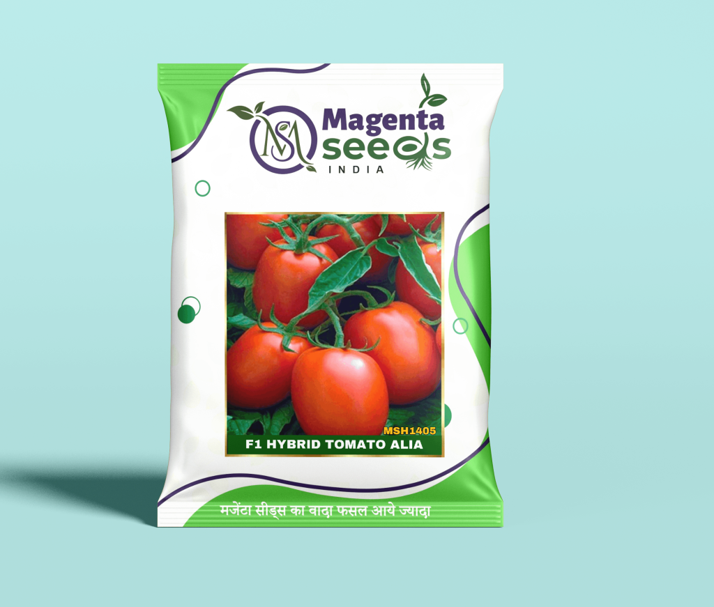 Alia F1 Tomato Seeds